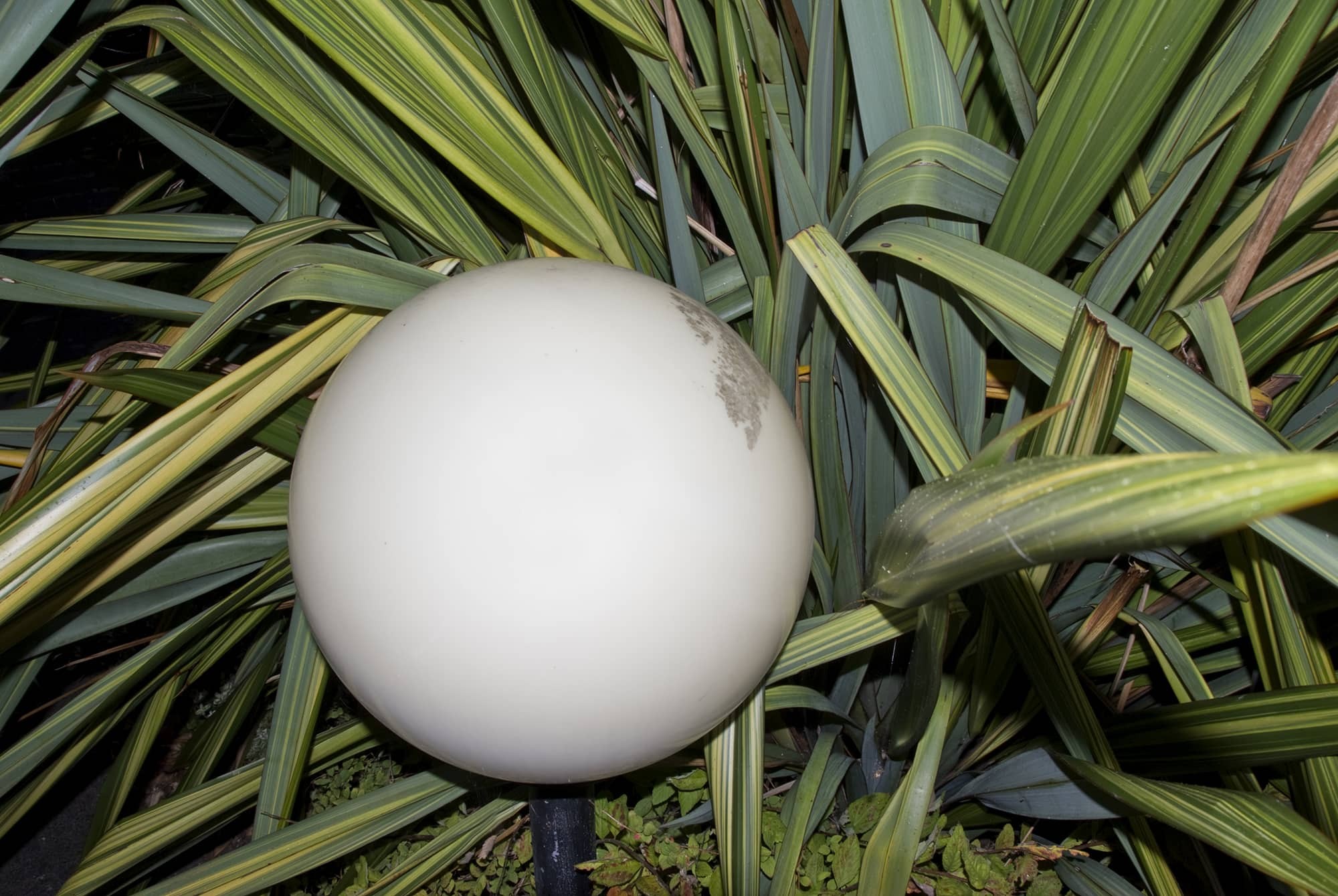 Site background image