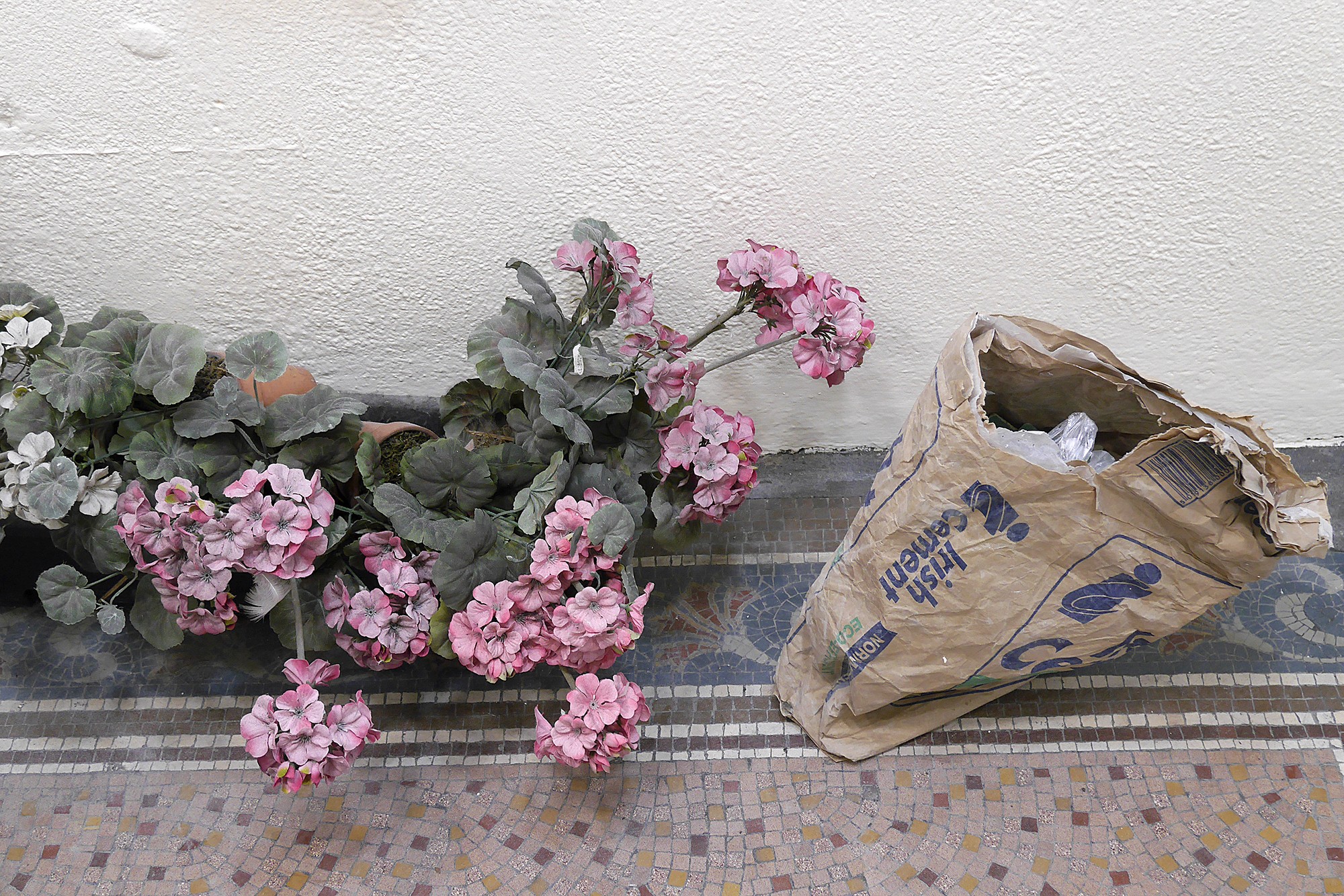 Site background image