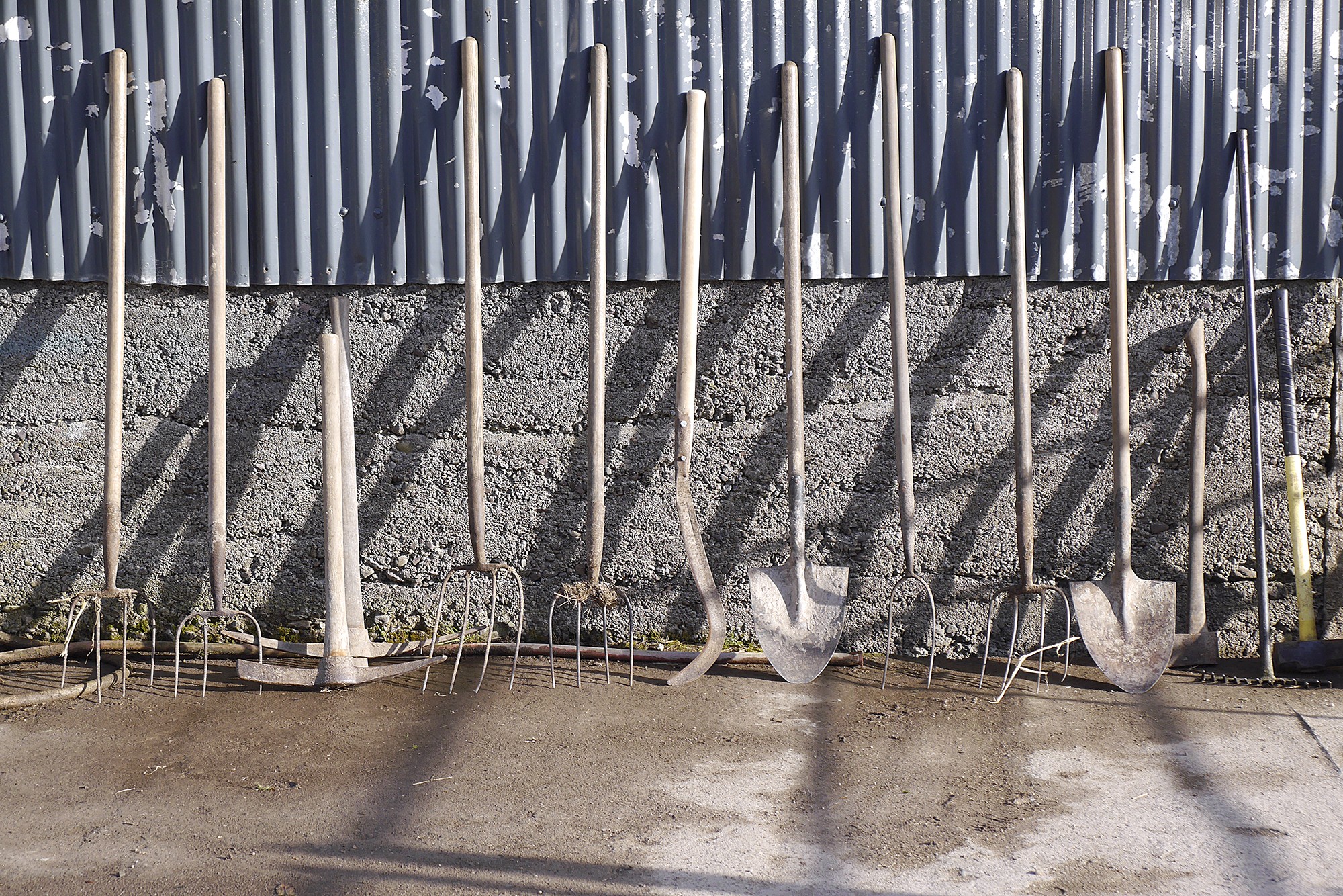 Site background image