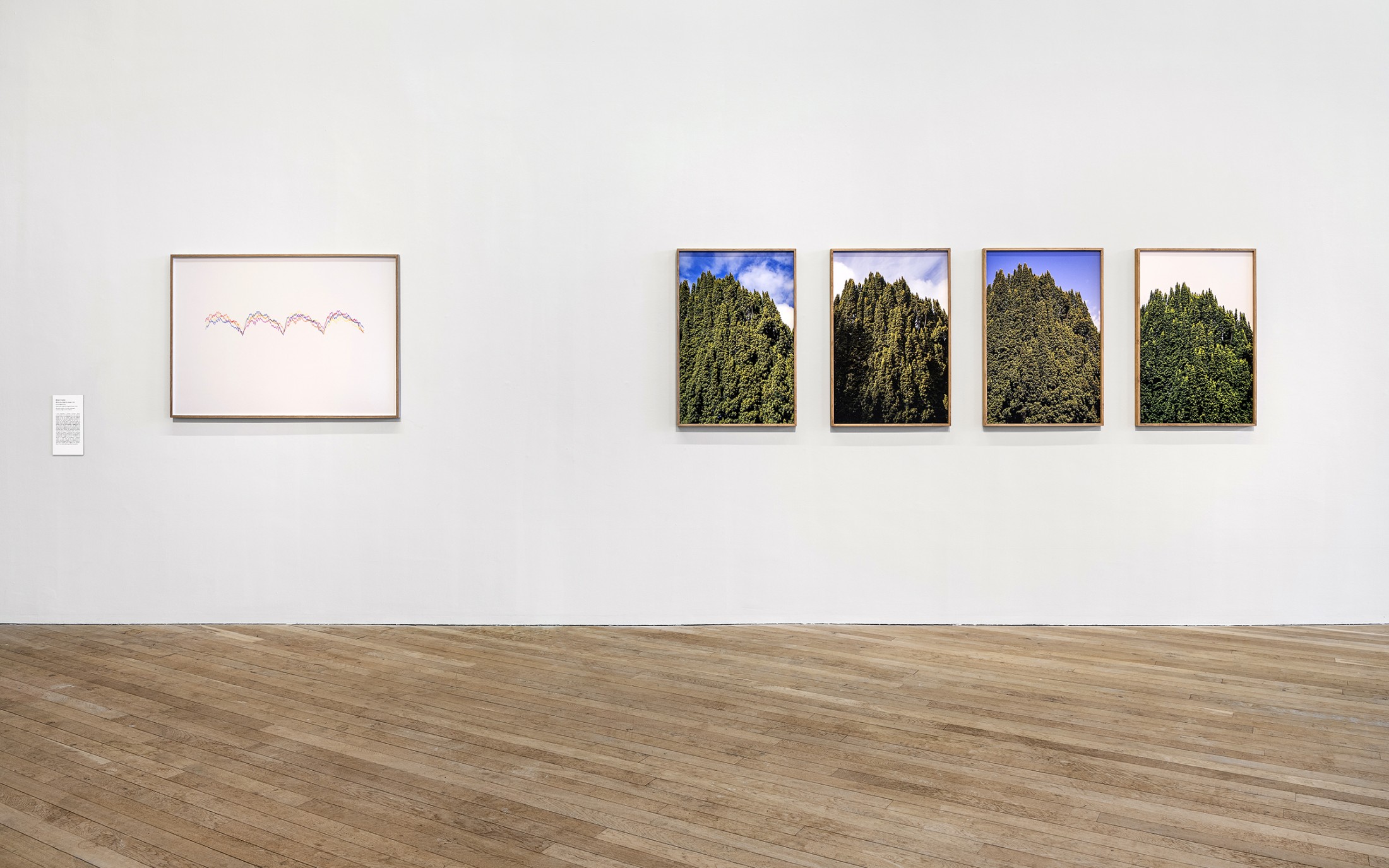 Site background image